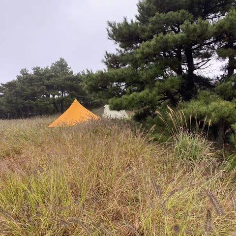 寻找秋色 收获秋实