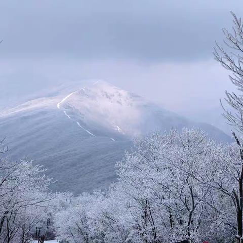 雪花满江南 雾凇锁天目