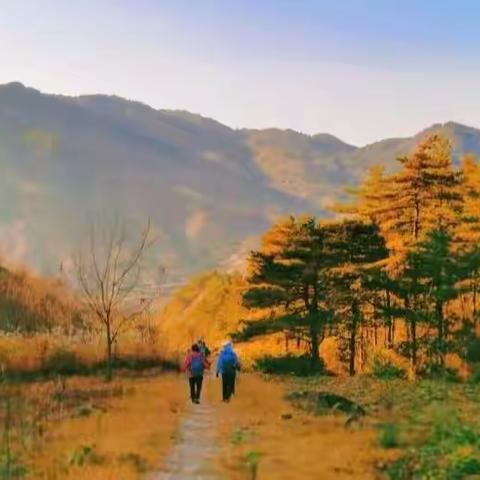 穿越太子尖~百丈岭