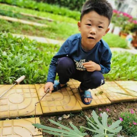 晨阳学校抗击疫情“榜样”系列之——