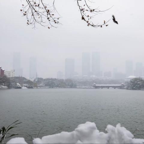 2021年的第一场雪