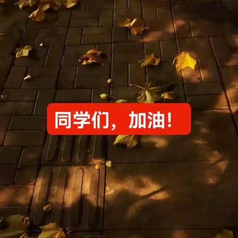 高二孩子们的网课点滴……