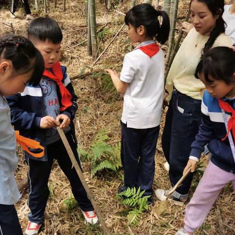 佛堂小学305班清明活动小记