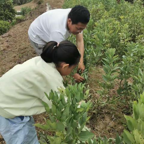 致敬五月，劳动光荣