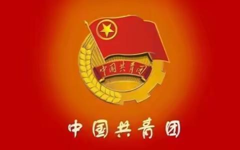 传承五四精神 承担时代使命——共青团康川学校委员会举行新团员入团仪式