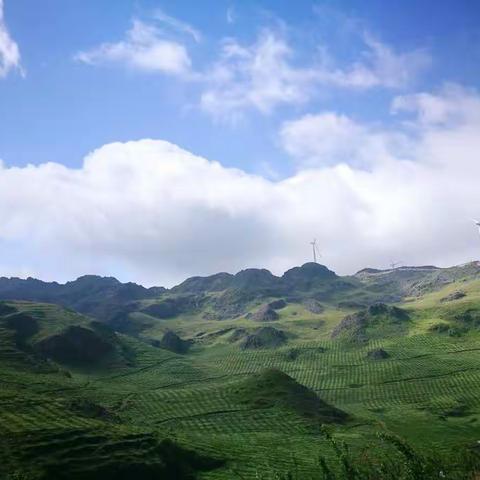 邂逅大山深处的美景——大黑山开心之旅