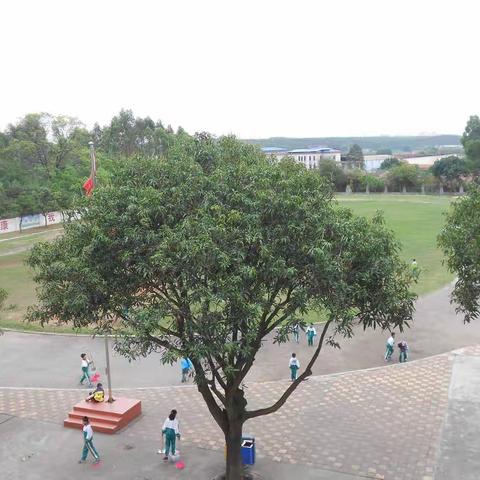 清城区石角镇民安小学2022年秋季义务教育公办学校一年级新生报名指南