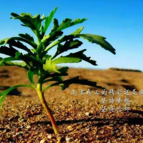 西安市首批高中生物名师+工作简报 第十四期  成员齐亮相，反思共奋进