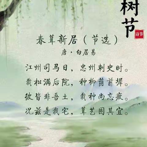 我和春天的秘密——记乌石垅小学植树节活动