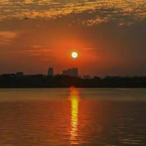 四（2）班语文优秀作业展示美篇        王哲彦