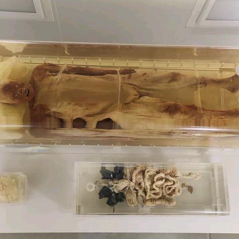 湖北荆州博物馆👉【凤凰山168号汉墓】2000多的干尸和金丝楠木棺椁