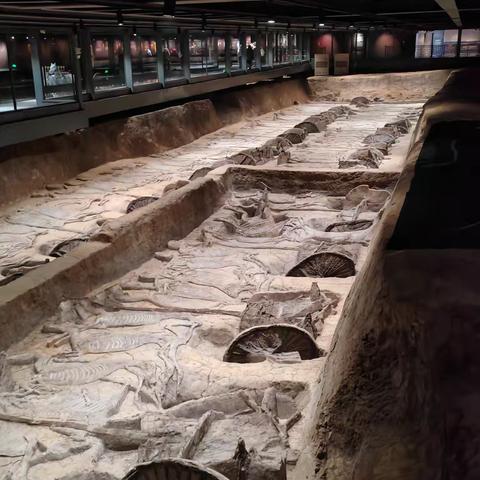 湖北荆州👉楚王车马阵+张居正+辽简王之墓地宫+关公殿2025-2-4初七