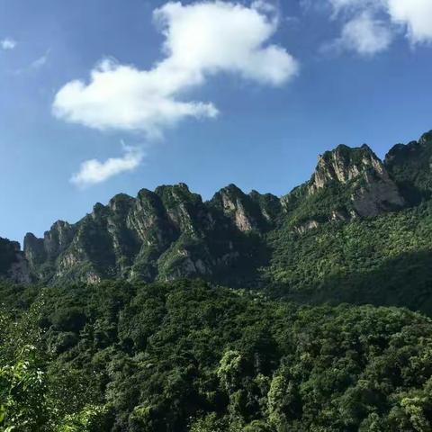 美好的一天