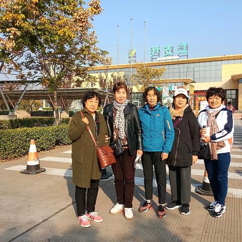 河南八日游2023110815