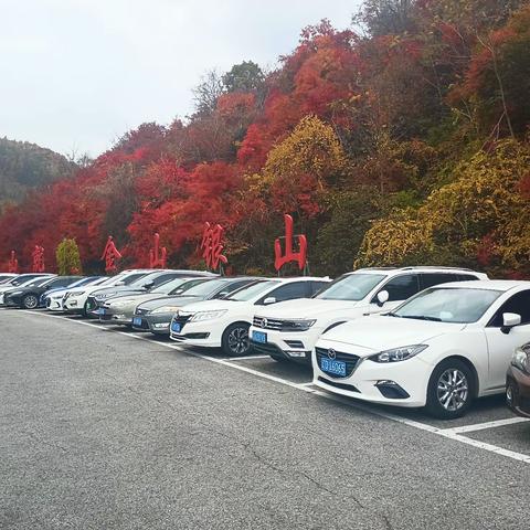 天女山游玩/20231014-