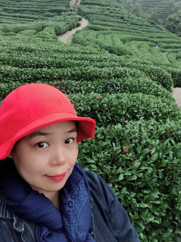 近800亩的高山茶园随地势起伏蔓延如同一颗镶嵌在西子湖畔的翡翠宝石