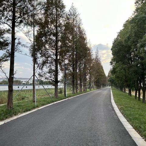 行走—七都南公堤