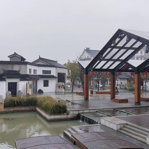 行走—平望京杭大集