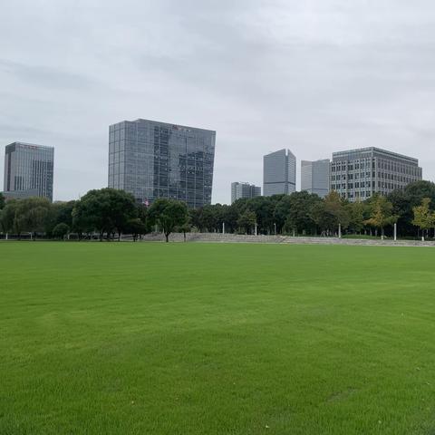 行走—苏州园区管委会大楼周边景观