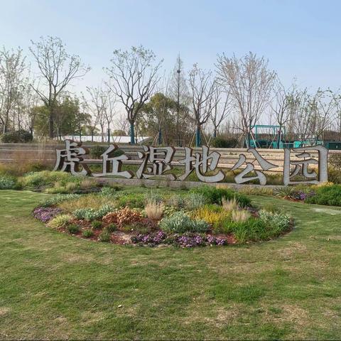 行走—再游虎丘湿地公园