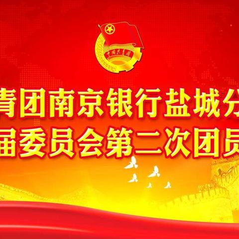 青春有理想 团委有力量 ——盐城分行召开共青团第二届委员会第二次团员大会