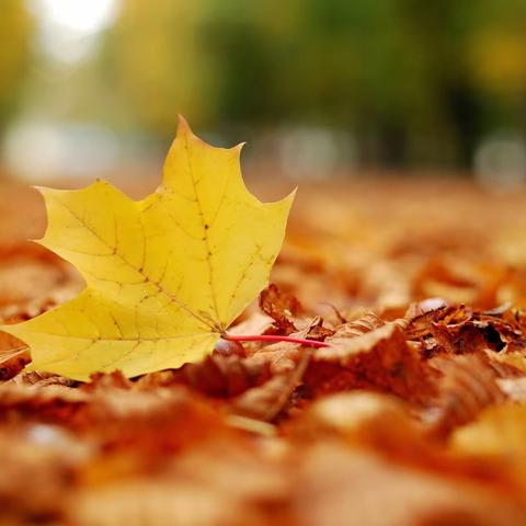 小诗一首：时间