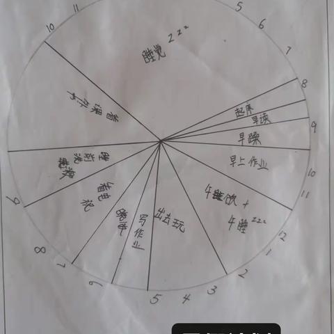 社会实践作业