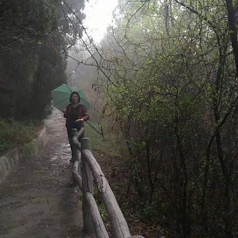 雨中同游