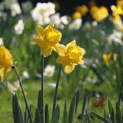 社区教育            小课堂