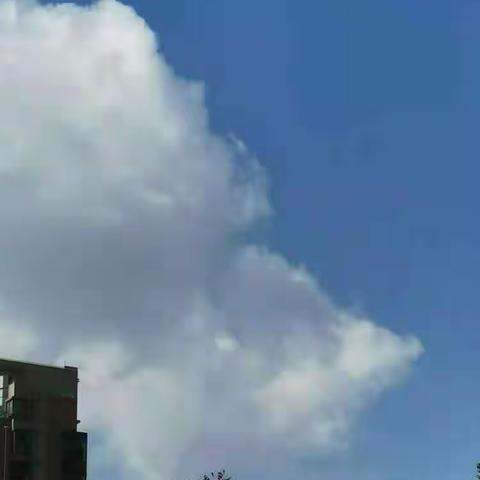 静安雕园之美（下）