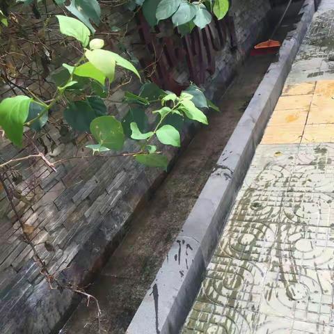 场站社区第1.2.3网格每日工作汇报（7月24日）