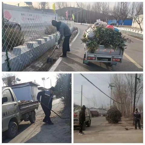 九百户镇12月21日工作动态