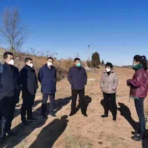 九百户镇12月29日工作动态