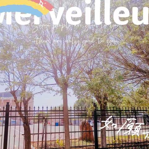 我的三年青春，Good bye，八二中