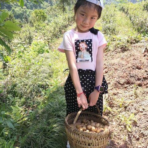 我劳动，我快乐！硒都民族实验小学2（12）班   帅嘉雯