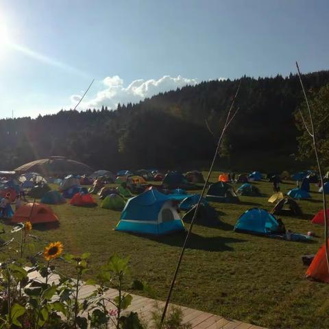 武陵山避暑游记
