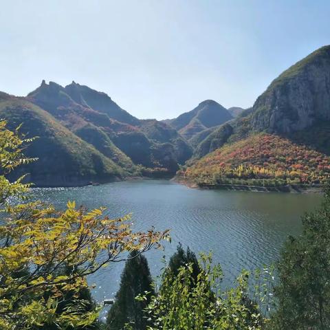 极目晴川展画卷 绿美涉县谱新篇