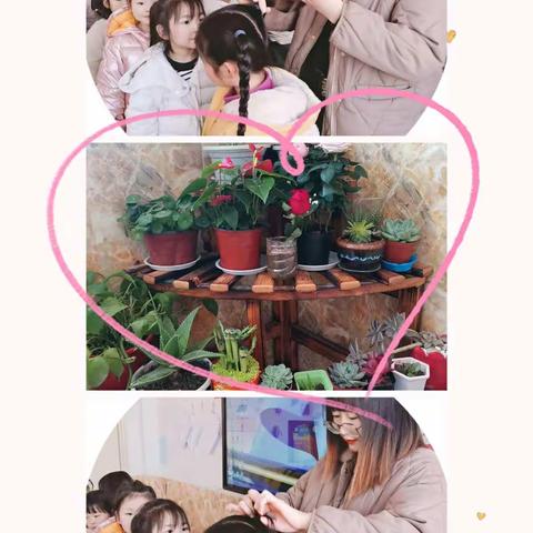 哈喽贝比大二班精彩瞬间