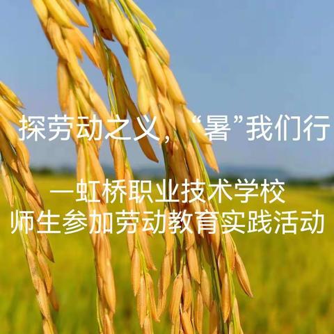 探劳动之义，“暑”我们行——虹桥职业技术学校师生参加劳动教育实践活动