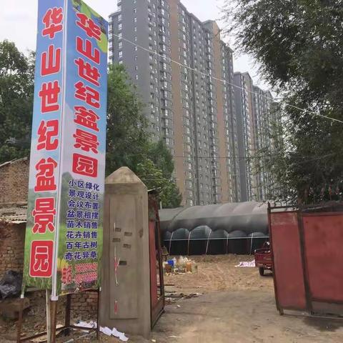 华山世纪盆景园搬迁进行中