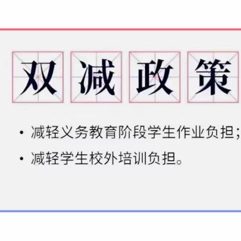 调研“双减”看校园变化，关注义务教育促未来发展