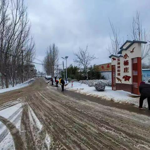 玉清湖街道退役军人志愿者参加扫雪活动