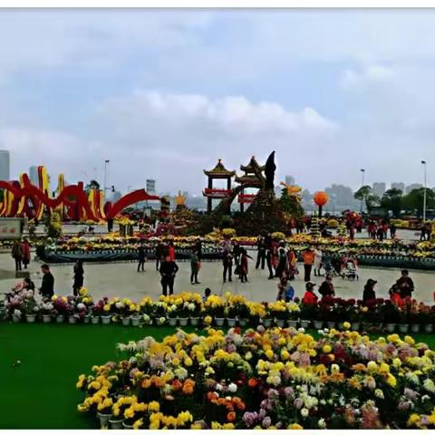 秋菊凌霜迎客来