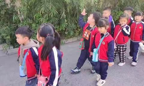 “走走走，我们一起去郊游”彩虹堂幼儿园大二班户外活动。