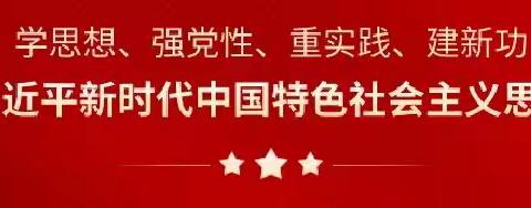 呼伦贝尔市分公司举办学习贯彻习近平新时代中国特色社会主义思想主题教育专题培训