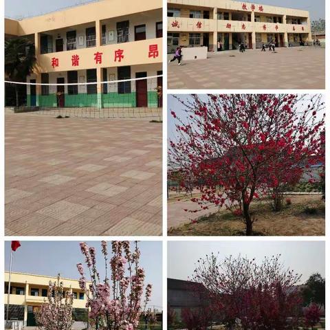 悉心指导        共同成长          一一教研室光临孝敬镇中心学校齐村小学教研调研活动剪影