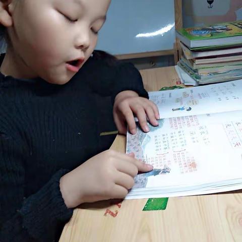 第五单元复习阅读