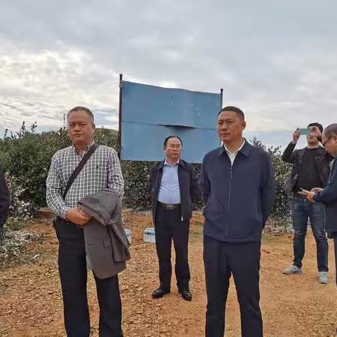 上饶市林业局组织人员到余干县学习考察油茶产业