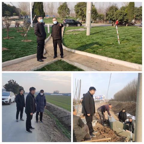 绿化美化打造城关农村“新生态”