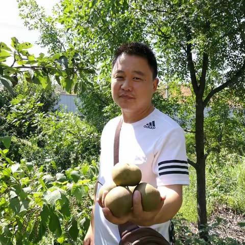 盛夏的果实
